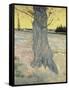 The Tree. Arles, September 1888-Vincent van Gogh-Framed Stretched Canvas