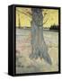 The Tree. Arles, September 1888-Vincent van Gogh-Framed Stretched Canvas