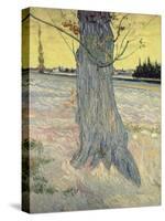 The Tree. Arles, September 1888-Vincent van Gogh-Stretched Canvas