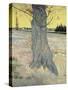 The Tree. Arles, September 1888-Vincent van Gogh-Stretched Canvas