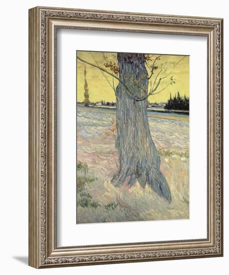 The Tree. Arles, September 1888-Vincent van Gogh-Framed Giclee Print