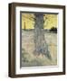 The Tree. Arles, September 1888-Vincent van Gogh-Framed Giclee Print