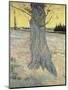 The Tree. Arles, September 1888-Vincent van Gogh-Mounted Giclee Print