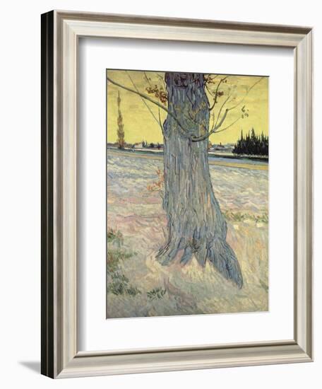 The Tree. Arles, September 1888-Vincent van Gogh-Framed Giclee Print