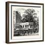 The Tree at the Corner of Wood Street 1870 London-null-Framed Giclee Print