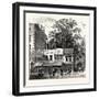 The Tree at the Corner of Wood Street 1870 London-null-Framed Giclee Print