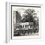 The Tree at the Corner of Wood Street 1870 London-null-Framed Giclee Print