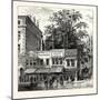 The Tree at the Corner of Wood Street 1870 London-null-Mounted Giclee Print