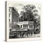 The Tree at the Corner of Wood Street 1870 London-null-Stretched Canvas