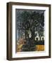 The Tree at Vence, 1929-Chaim Soutine-Framed Giclee Print