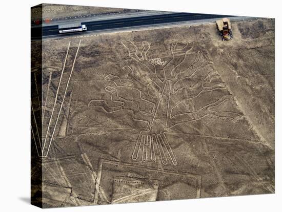 The Tree Geoglyph, aerial view, Nazca, UNESCO World Heritage Site, Ica Region, Peru, South America-Karol Kozlowski-Stretched Canvas