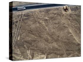 The Tree Geoglyph, aerial view, Nazca, UNESCO World Heritage Site, Ica Region, Peru, South America-Karol Kozlowski-Stretched Canvas