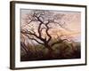 The Tree of Crows, 1822-Caspar David Friedrich-Framed Giclee Print