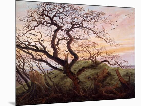 The Tree of Crows, 1822-Caspar David Friedrich-Mounted Giclee Print