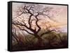 The Tree of Crows, 1822-Caspar David Friedrich-Framed Stretched Canvas