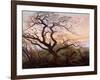 The Tree of Crows, 1822-Caspar David Friedrich-Framed Giclee Print