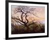 The Tree of Crows, 1822-Caspar David Friedrich-Framed Giclee Print