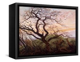 The Tree of Crows, 1822-Caspar David Friedrich-Framed Stretched Canvas