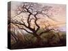 The Tree of Crows, 1822-Caspar David Friedrich-Stretched Canvas