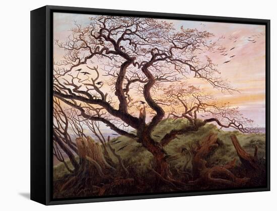 The Tree of Crows, 1822-Caspar David Friedrich-Framed Stretched Canvas