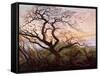 The Tree of Crows, 1822-Caspar David Friedrich-Framed Stretched Canvas