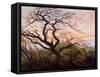 The Tree of Crows, 1822-Caspar David Friedrich-Framed Stretched Canvas