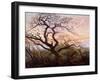 The Tree of Crows, 1822-Caspar David Friedrich-Framed Giclee Print