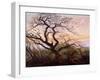 The Tree of Crows, 1822-Caspar David Friedrich-Framed Giclee Print