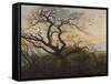 The Tree of Crows-Caspar David Friedrich-Framed Stretched Canvas