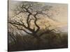 The Tree of Crows-Caspar David Friedrich-Stretched Canvas