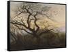 The Tree of Crows-Caspar David Friedrich-Framed Stretched Canvas