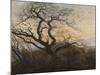 The Tree of Crows-Caspar David Friedrich-Mounted Giclee Print