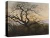 The Tree of Crows-Caspar David Friedrich-Stretched Canvas