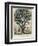 The Tree of Intemperance, Published by N. Currier, New York, 1849-Currier & Ives-Framed Giclee Print