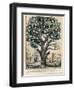 The Tree of Intemperance, Published by N. Currier, New York, 1849-Currier & Ives-Framed Giclee Print