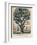 The Tree of Intemperance, Published by N. Currier, New York, 1849-Currier & Ives-Framed Giclee Print