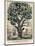 The Tree of Intemperance, Published by N. Currier, New York, 1849-Currier & Ives-Mounted Giclee Print