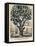 The Tree of Intemperance, Published by N. Currier, New York, 1849-Currier & Ives-Framed Stretched Canvas