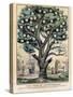 The Tree of Intemperance, Published by N. Currier, New York, 1849-Currier & Ives-Stretched Canvas