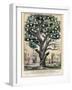 The Tree of Intemperance, Published by N. Currier, New York, 1849-Currier & Ives-Framed Giclee Print