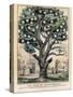 The Tree of Intemperance, Published by N. Currier, New York, 1849-Currier & Ives-Stretched Canvas