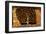 The Tree of Life (Interpretation)-Gustav Klimt-Framed Premium Giclee Print