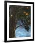 The Tree of Life-Jamin Still-Framed Giclee Print