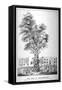 The Tree of Reformation, 1853-William Carter-Framed Stretched Canvas