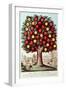 The Tree of Temperance, 1872-Currier & Ives-Framed Giclee Print