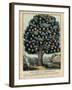 The Tree of Temperance, Published by N. Currier, New York, 1849-Currier & Ives-Framed Giclee Print