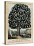 The Tree of Temperance, Published by N. Currier, New York, 1849-Currier & Ives-Stretched Canvas