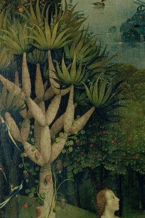 https://imgc.allpostersimages.com/img/posters/the-tree-of-the-knowledge-of-good-and-evil-fr-the-right-panel-of-the-garden-of-earthly-delights_u-L-Q1HFLSI0.jpg?artPerspective=n