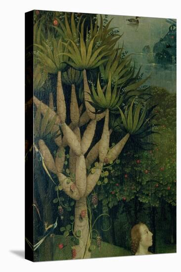 The Tree of the Knowledge of Good and Evil, Fr. the Right Panel of the Garden of Earthly Delights-Hieronymus Bosch-Stretched Canvas