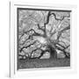 The Tree Square-BW 2-Moises Levy-Framed Photographic Print